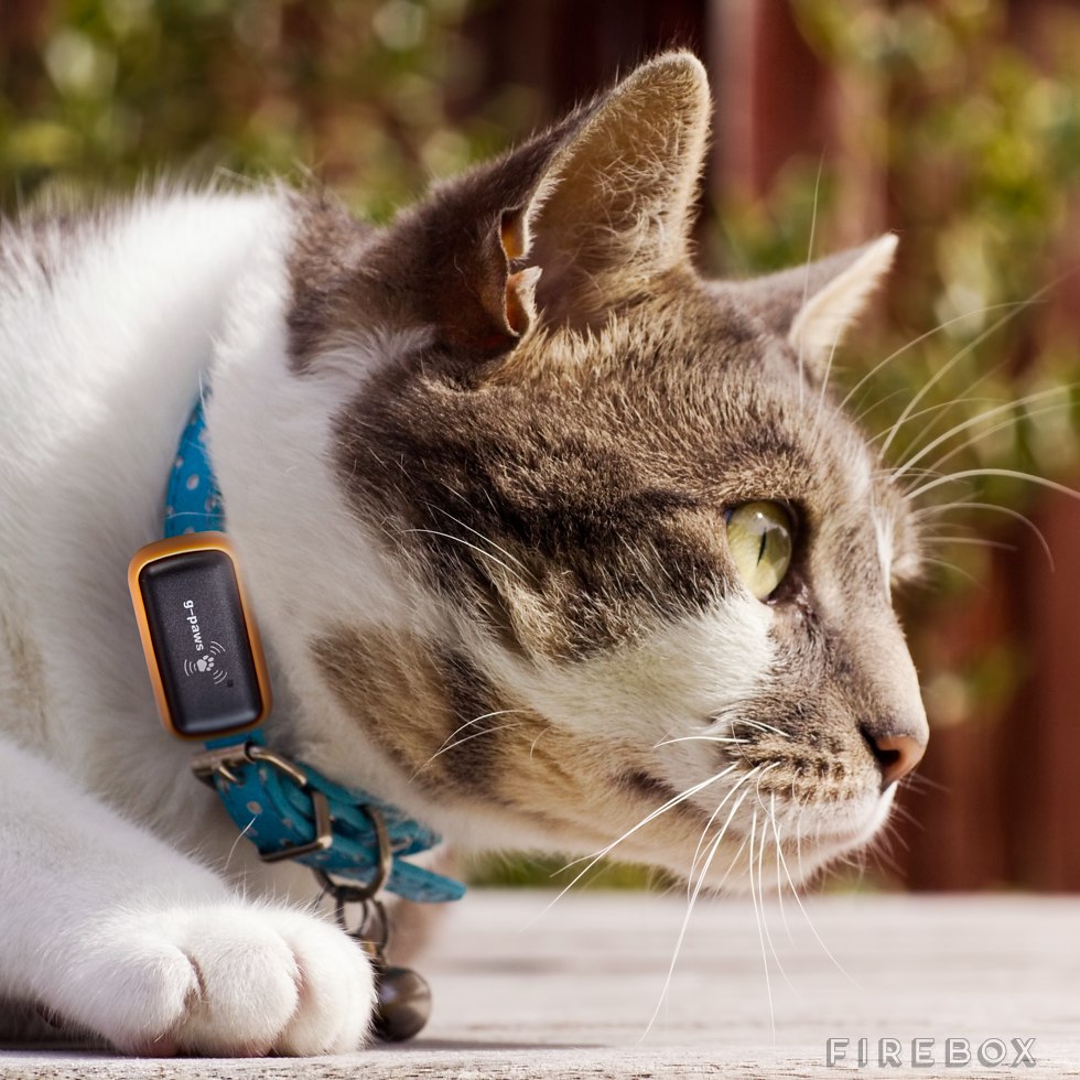 chip cat tracker