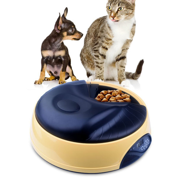 timed auto cat feeder