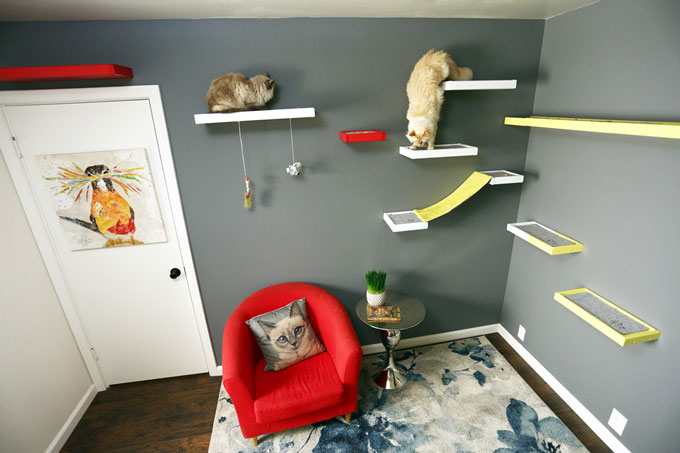 cat wall system