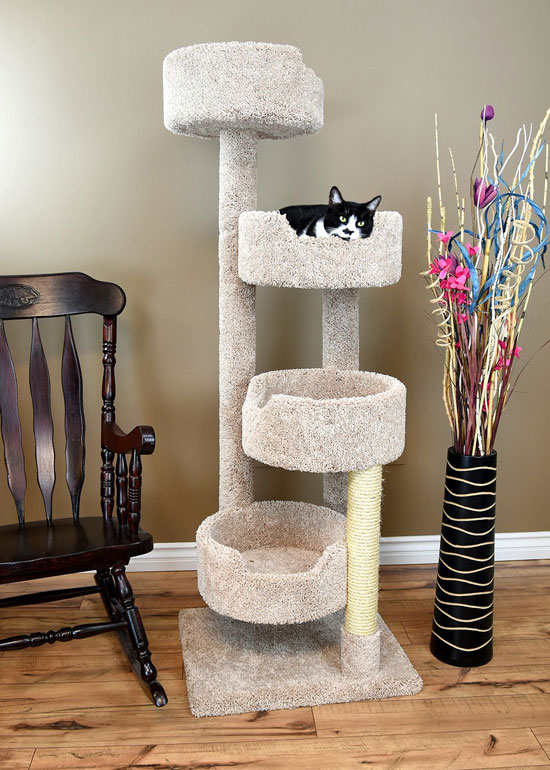 Cat Condo download the new for ios