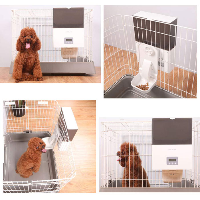 automatic dog feeder for kennel